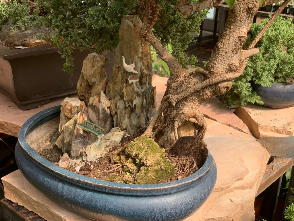 Unique bonsai arrangement in a blue ceramic pot, featuring a rugged tree trunk and a miniature rock landscape with intricate details, showcasing advanced bonsai rock styling techniques.