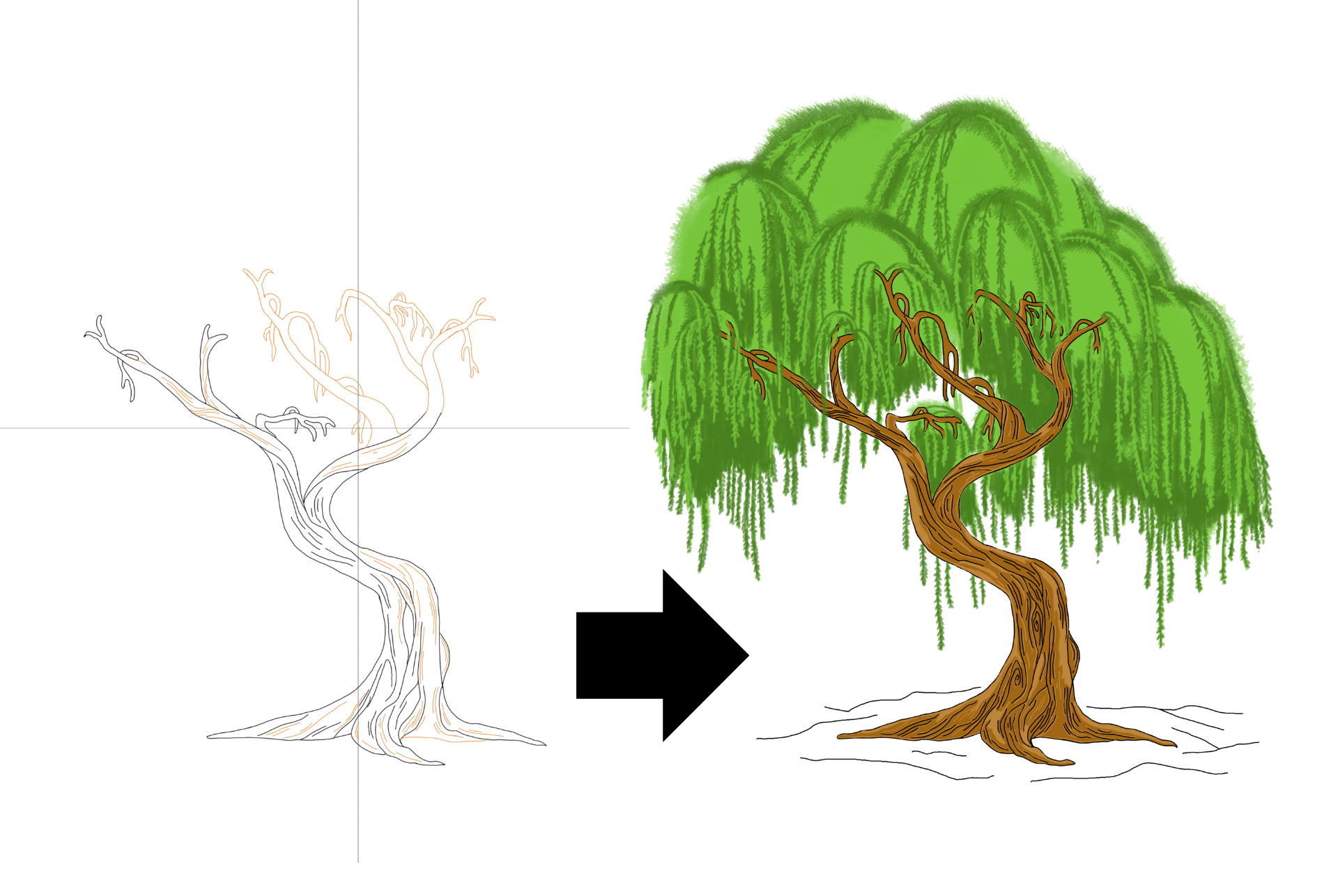 How to draw a willow tree