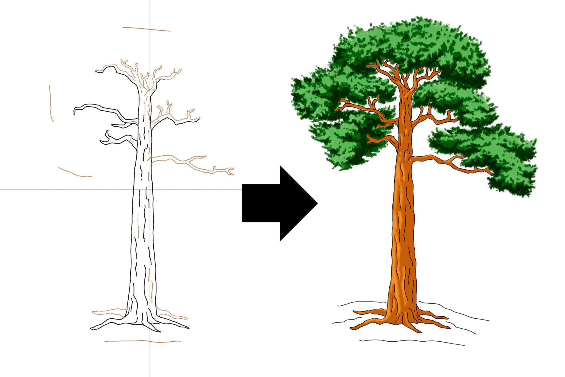 Sketch of how to draw a pine tree