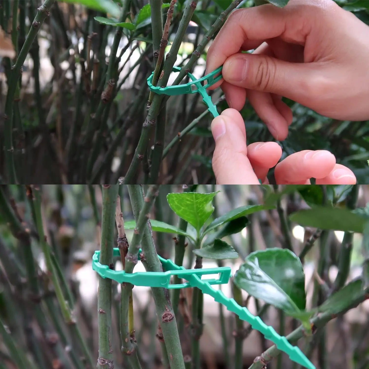 Reusable Nylon Cable Ties