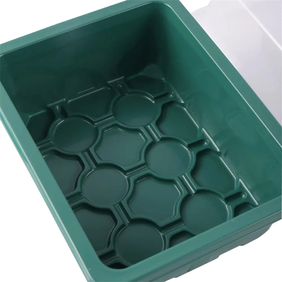 Seedling Starter Tray Germination Box