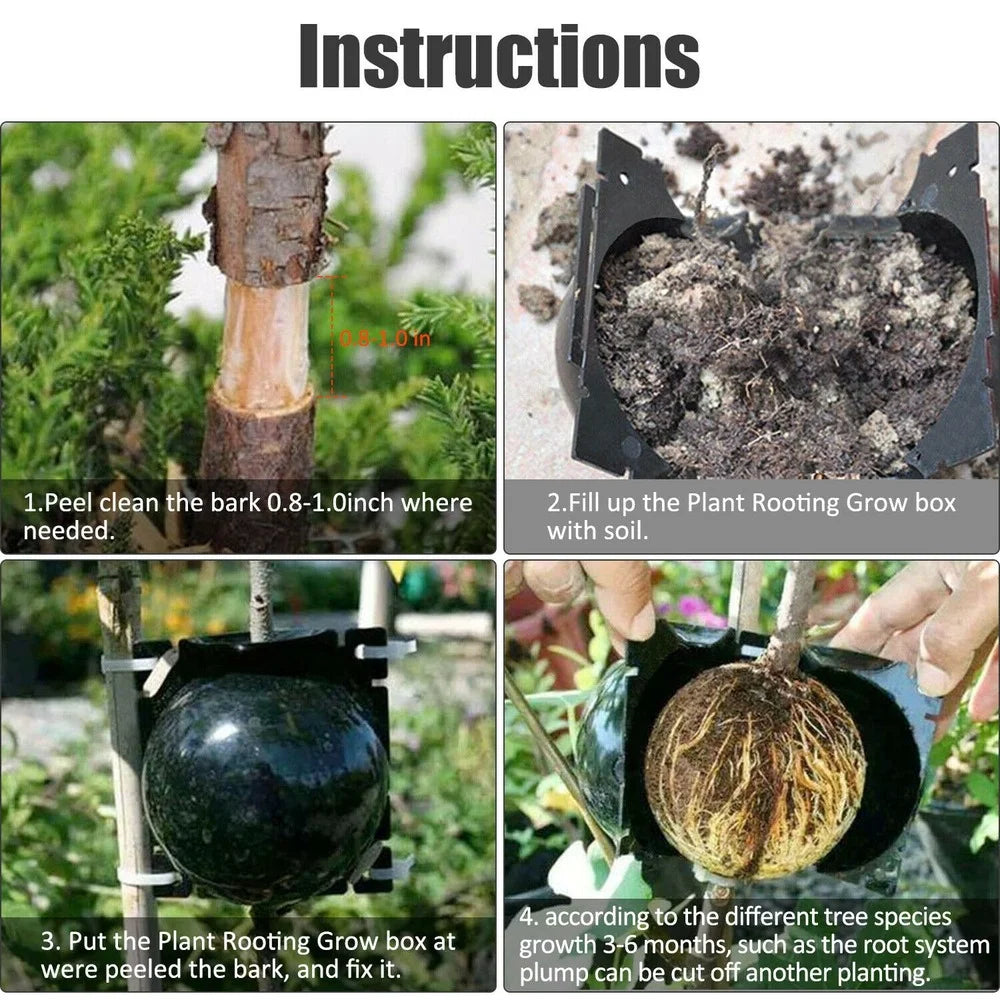 10-Piece Reusable Plant Rooting Boxes