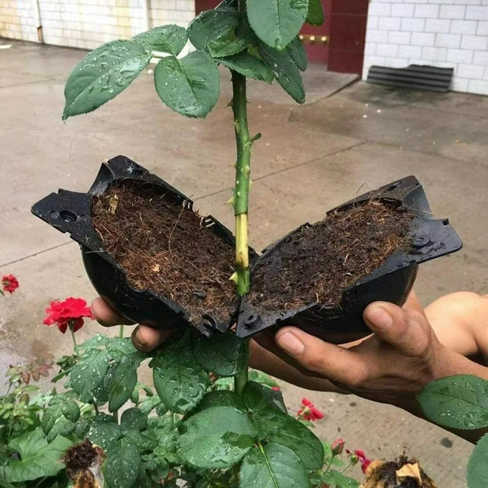 10-Piece Reusable Plant Rooting Boxes