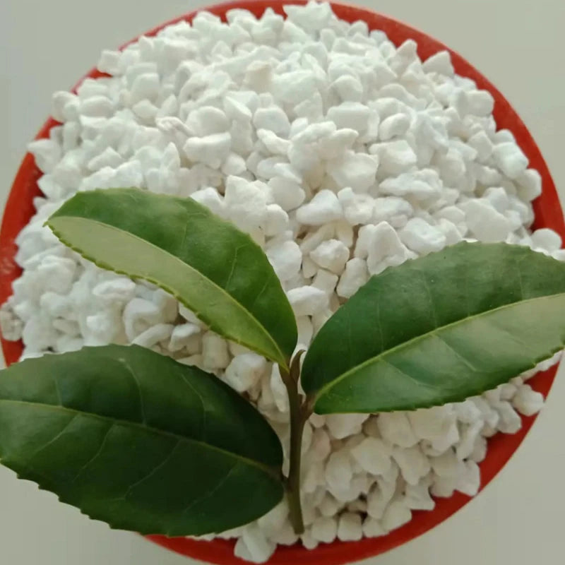 Bonsai Nursery Porous Soil