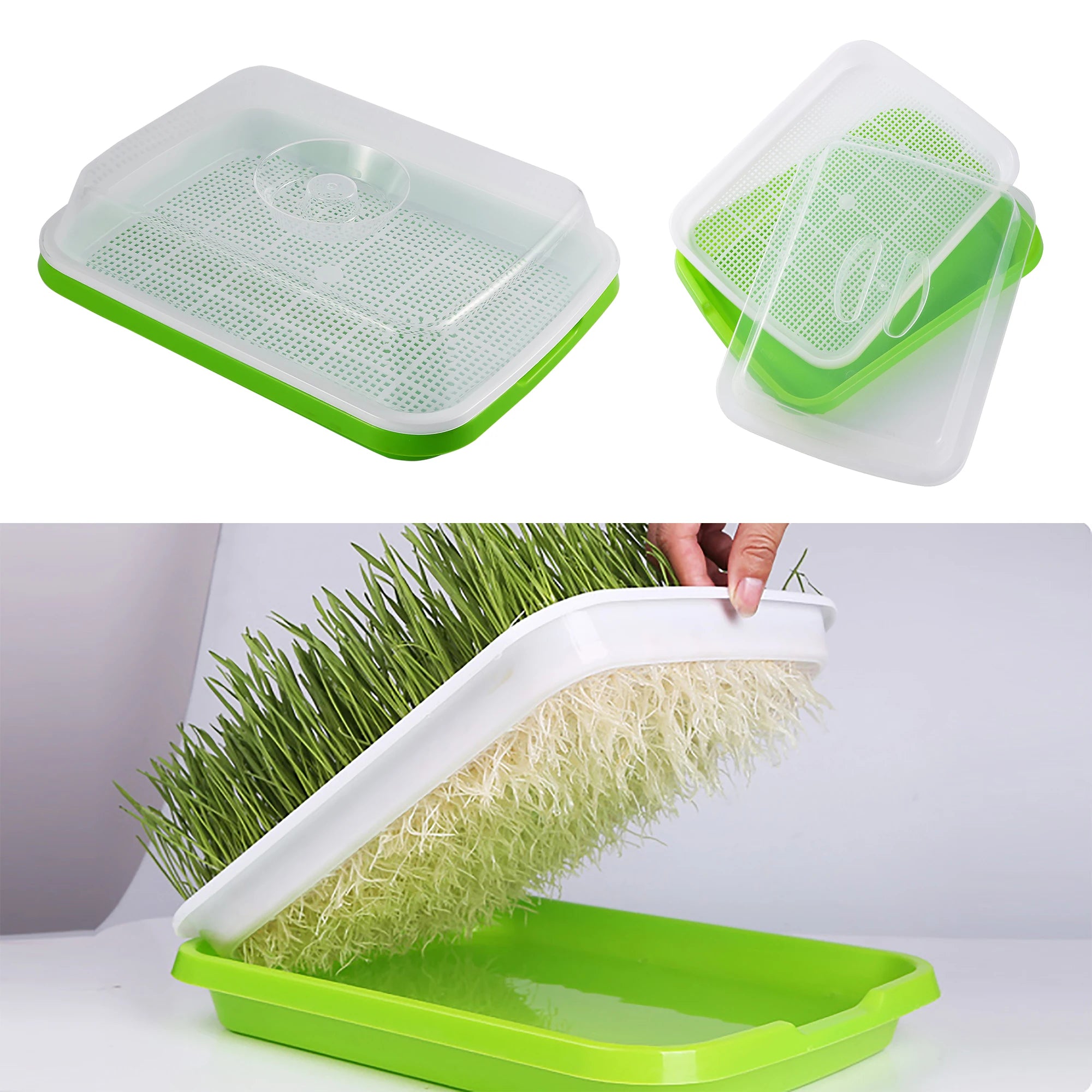 Seed Germination Tray Pot