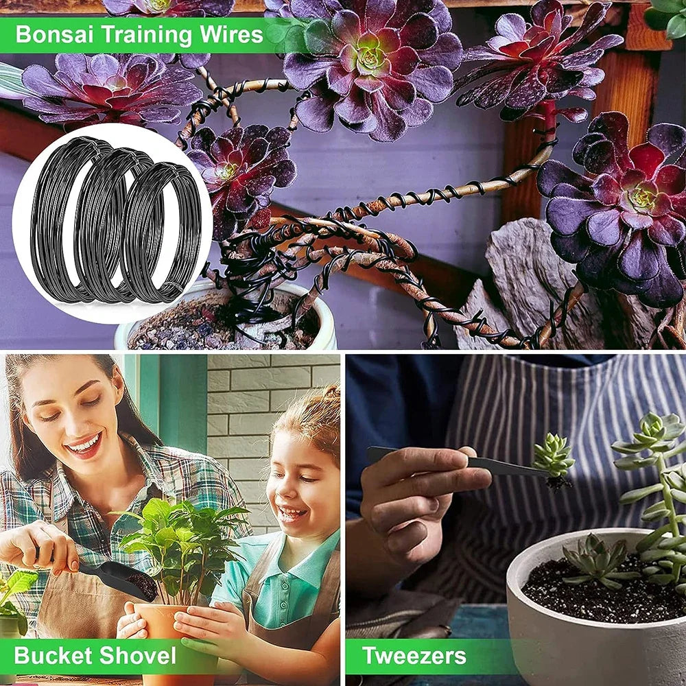 22 PCS Tools Bonsai Starter Kit