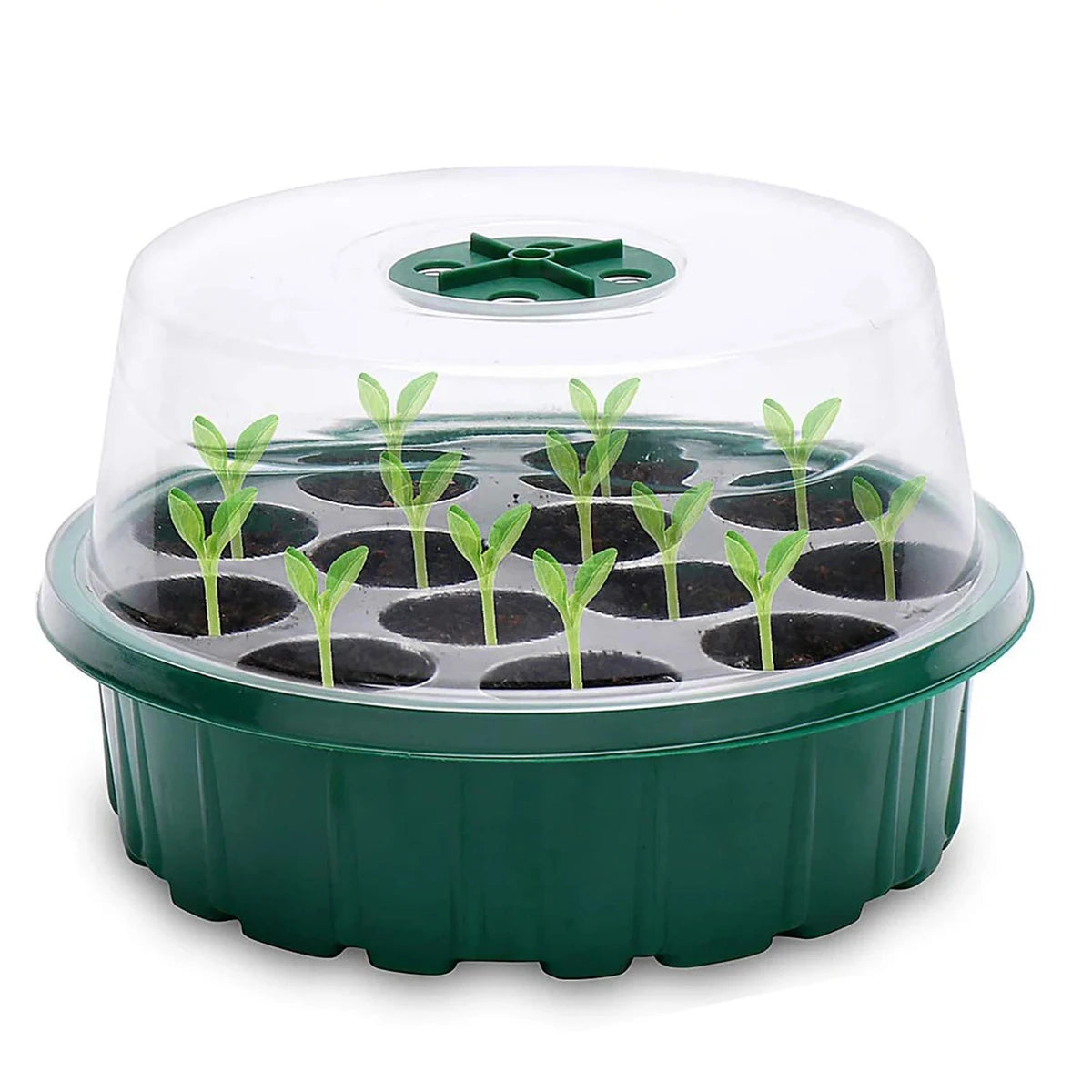 Seedling Starter Tray Germination Box