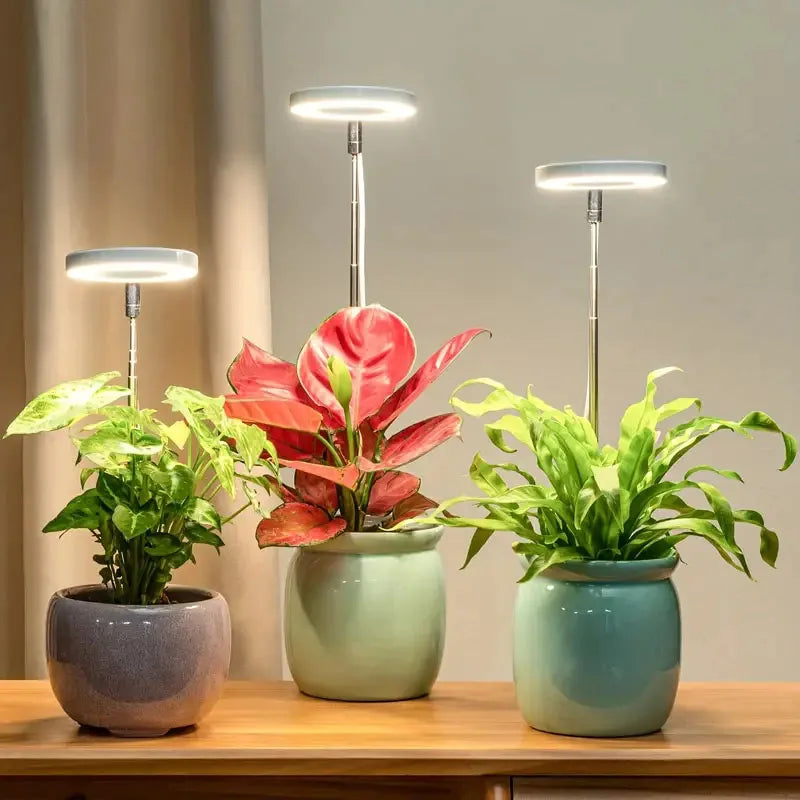 LED Plant Grow Light