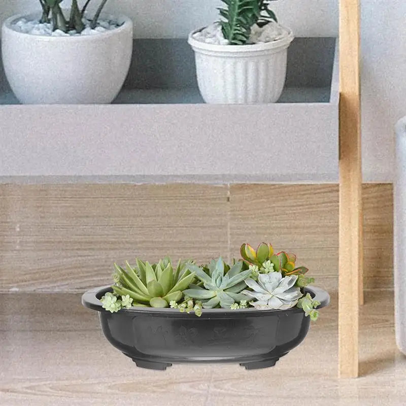 2-Piece Outdoor Oval Bonsai Flowerpot Set