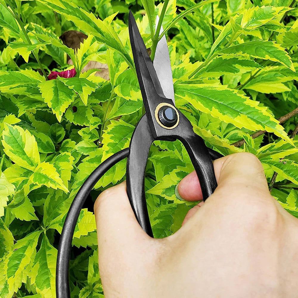 Bonsai Precision Pruner Scissors