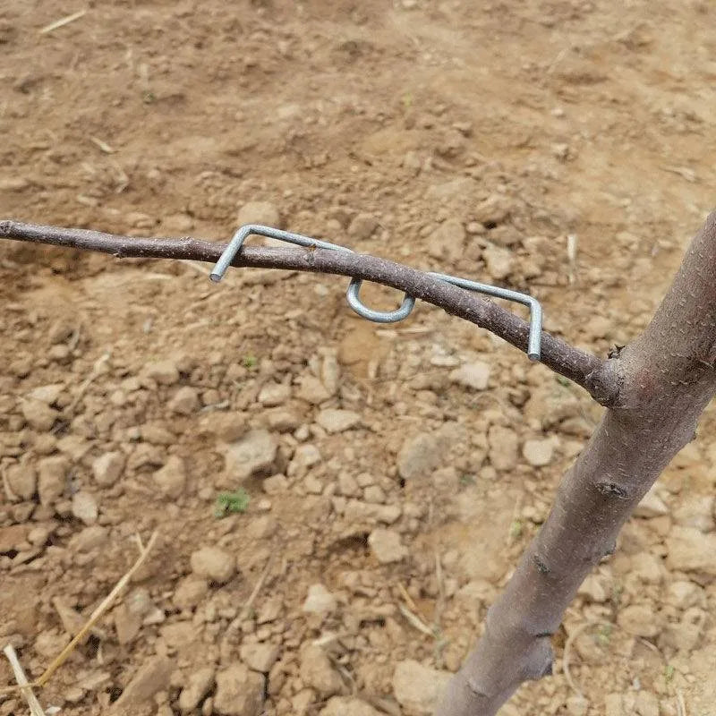 Bonsai Shaper & Fruit Tree Branch Bender