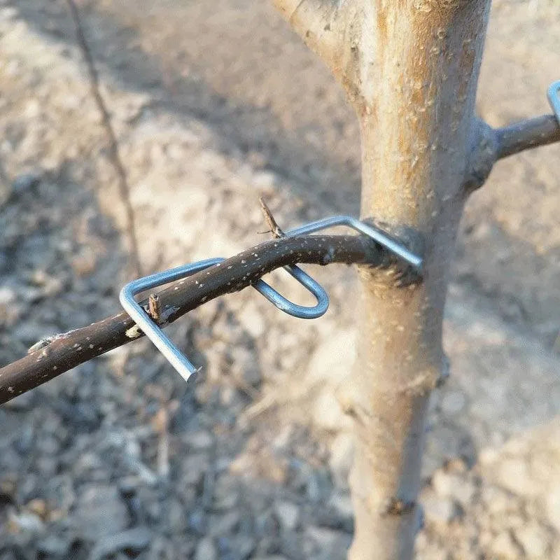 Bonsai Shaper & Fruit Tree Branch Bender