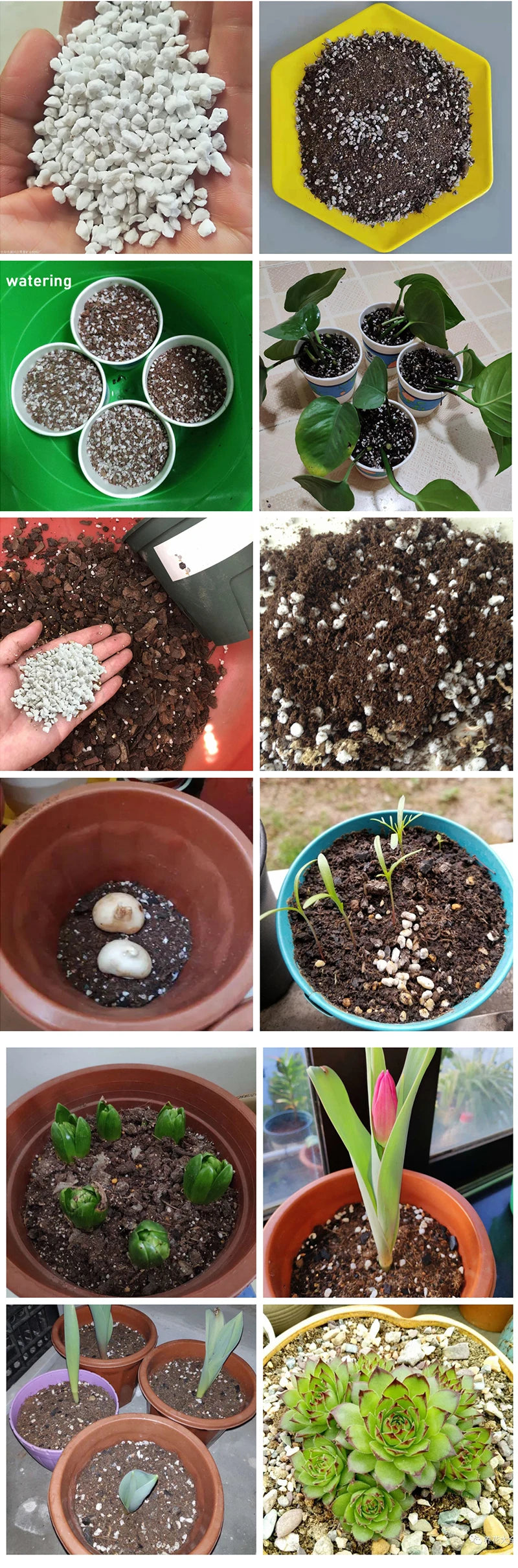 Bonsai Nursery Porous Soil