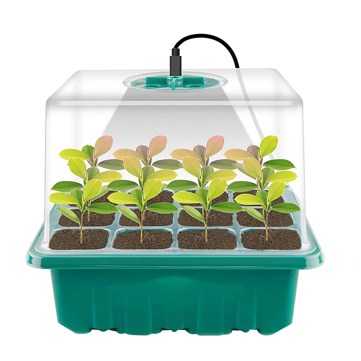 Seedling Starter Tray Germination Box