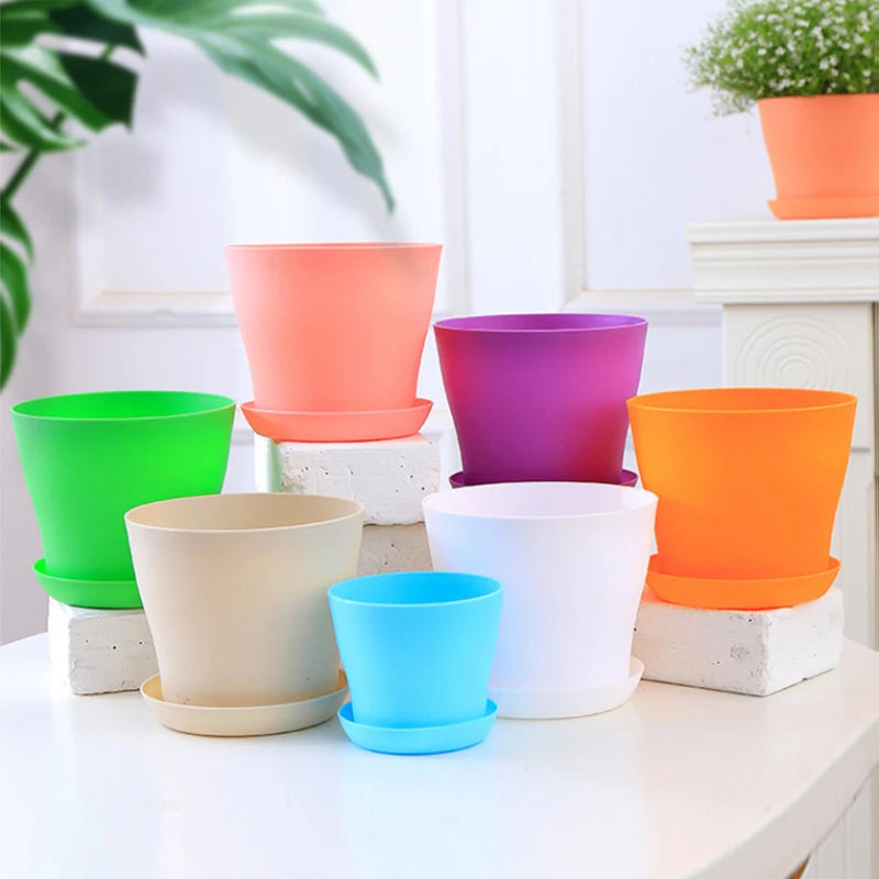 Plastic Pot with Tray