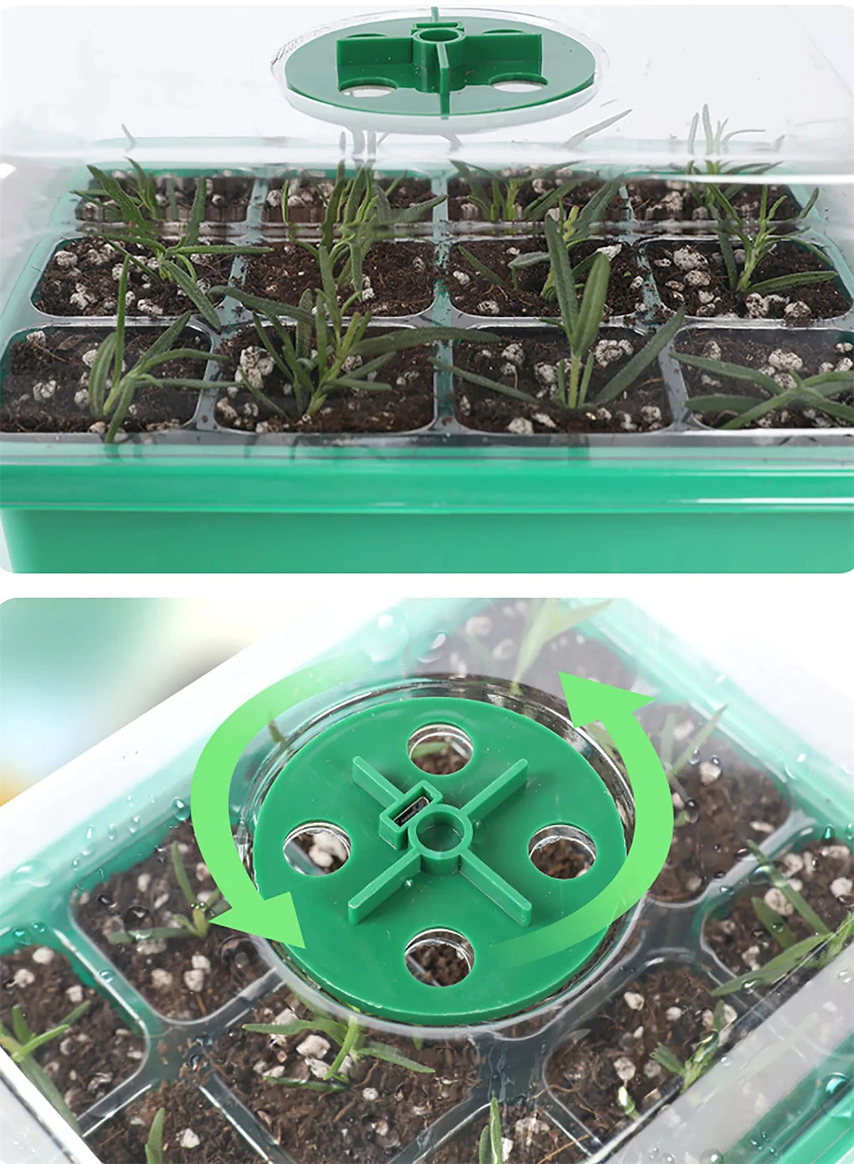 Seedling Starter Tray Germination Box