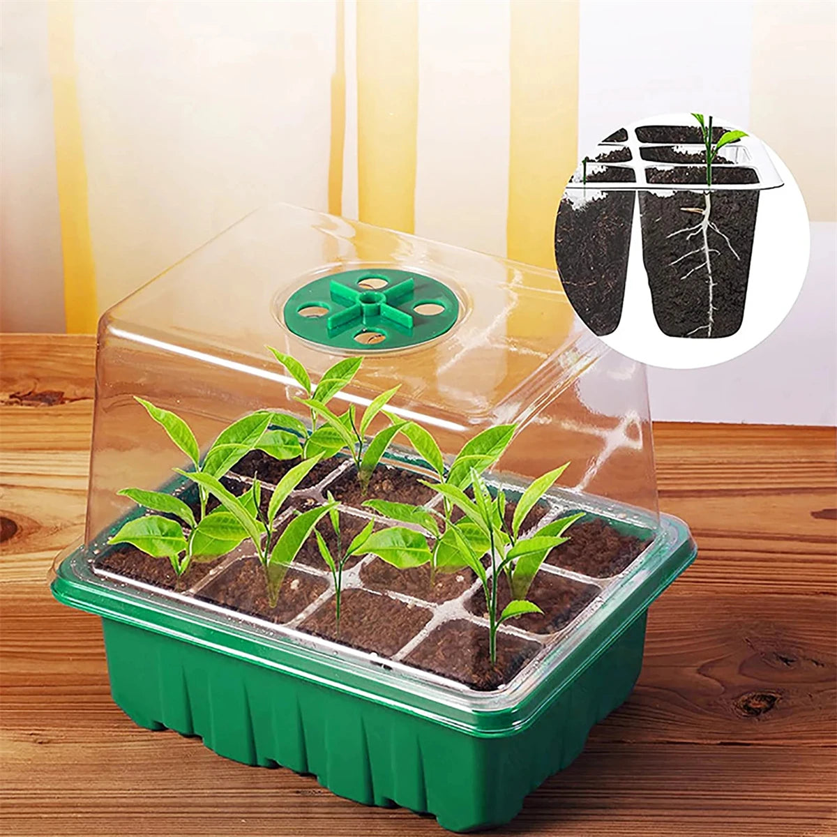 Seedling Starter Tray Germination Box