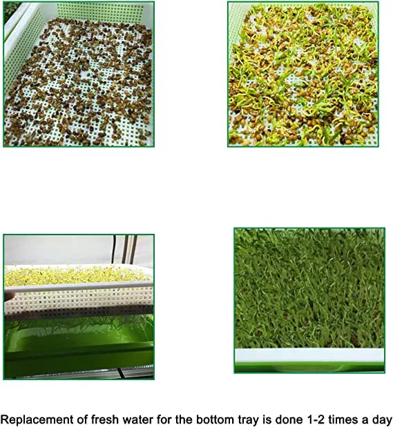 Seed Germination Tray Pot