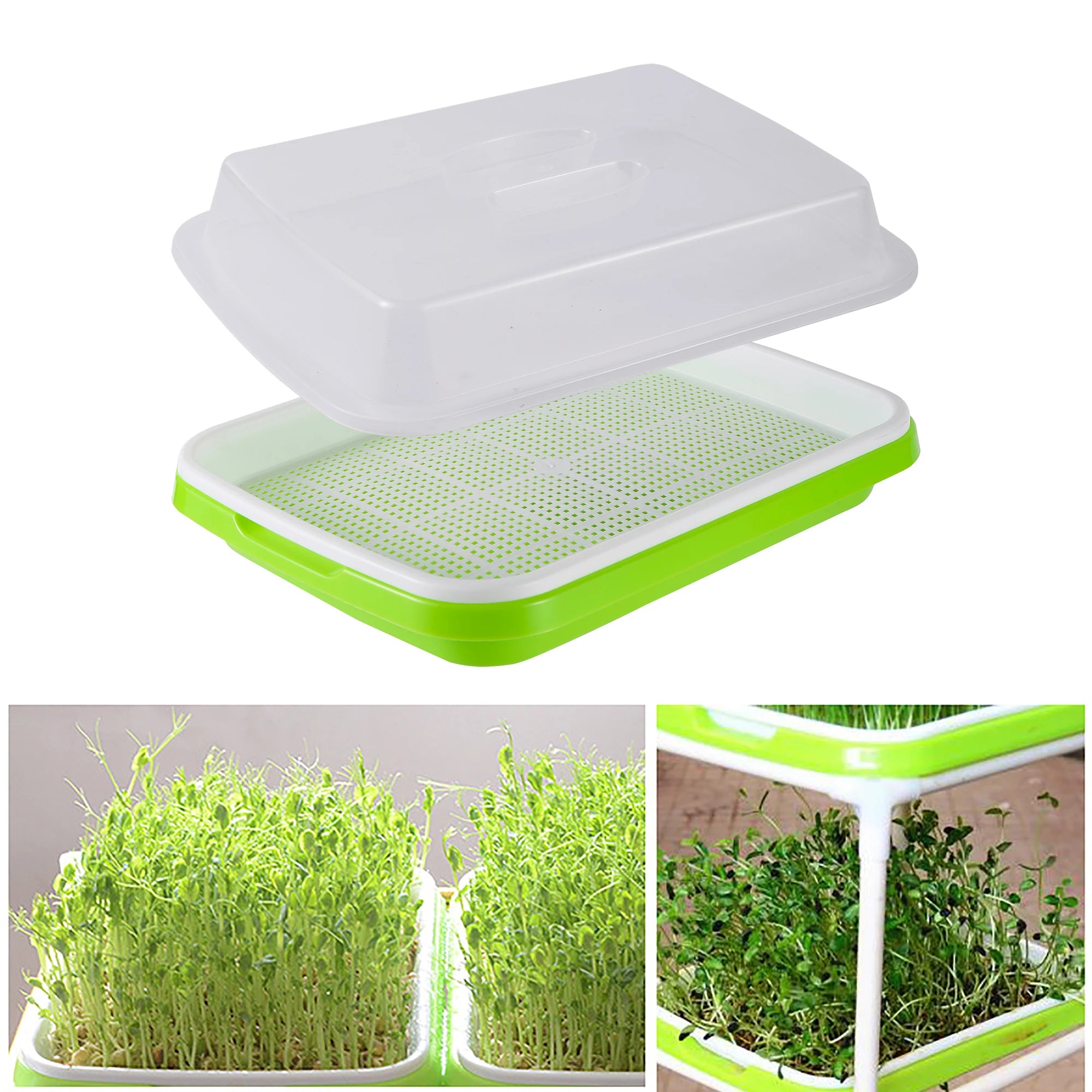 Seed Germination Tray Pot