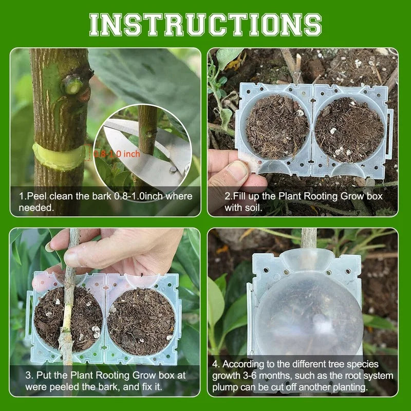 10-Piece Reusable Plant Rooting Boxes