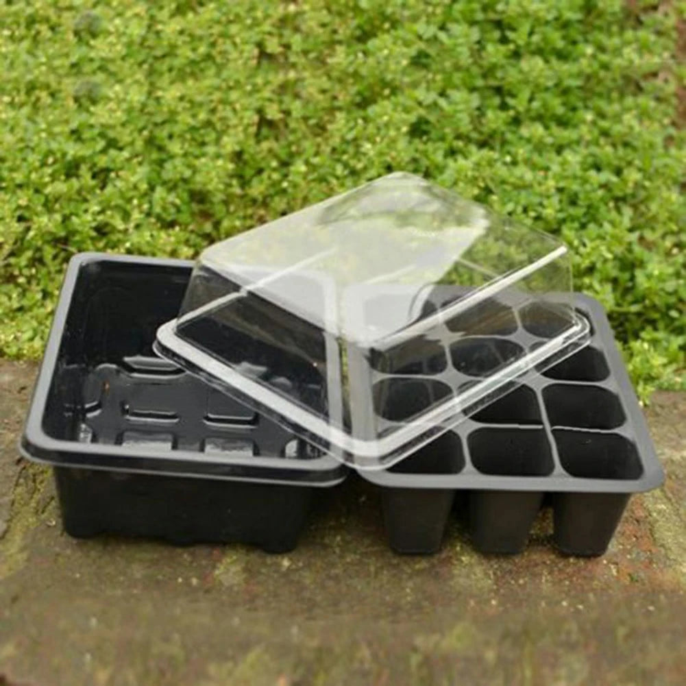 Bonsai Seedling Tray