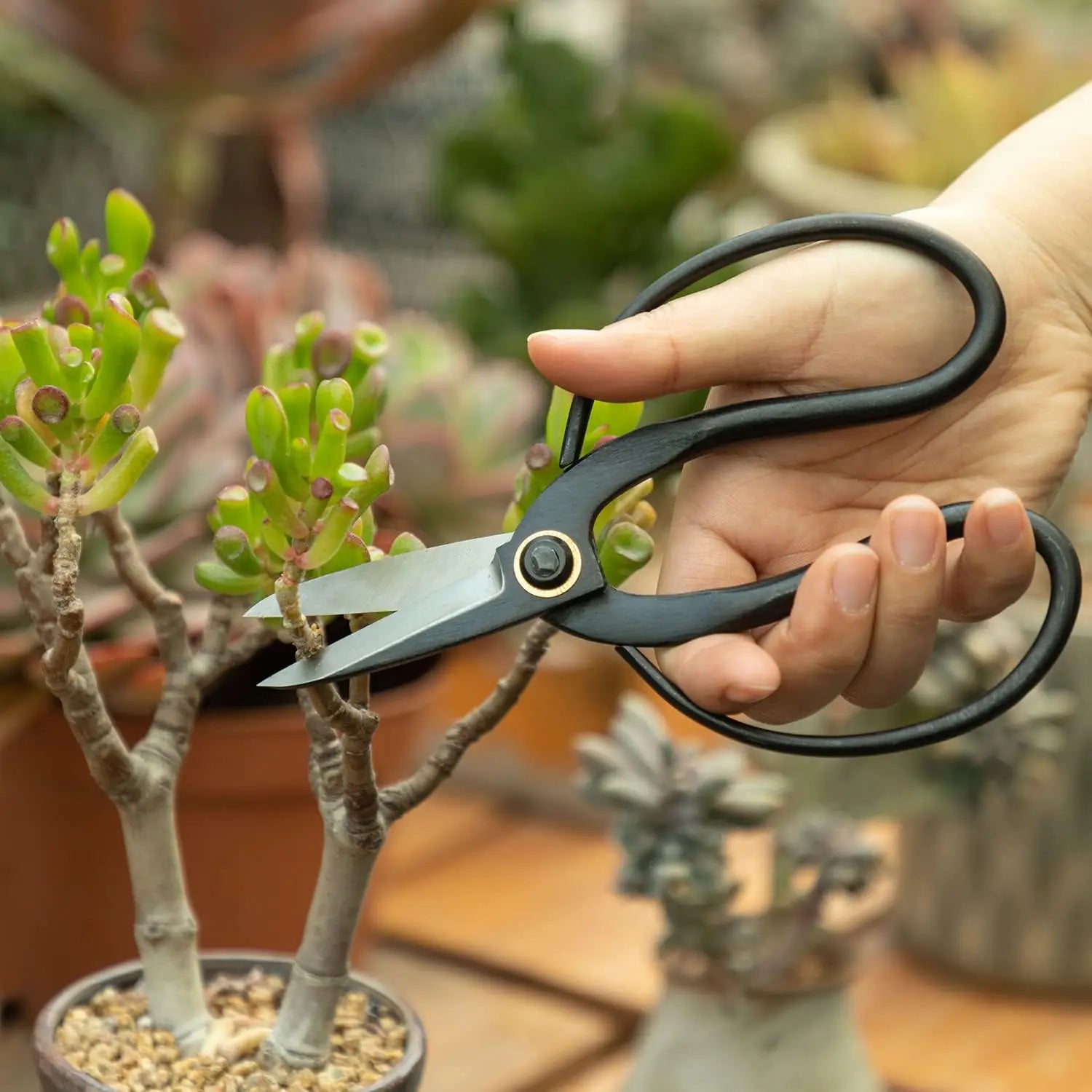 Bonsai Precision Pruner Scissors