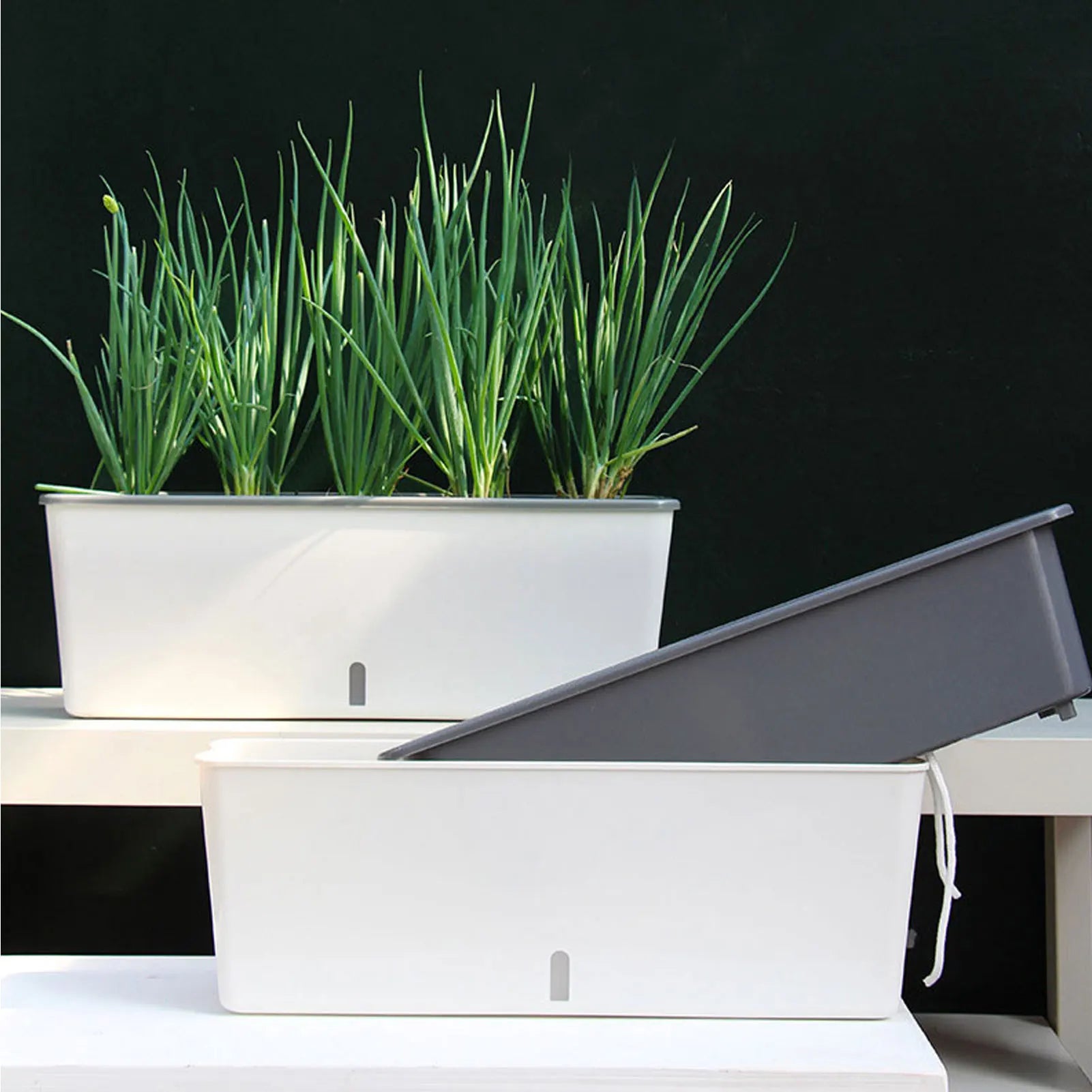 Self-Watering Planter Pots