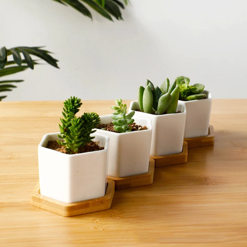 Ceramic Small Bonsai Pot