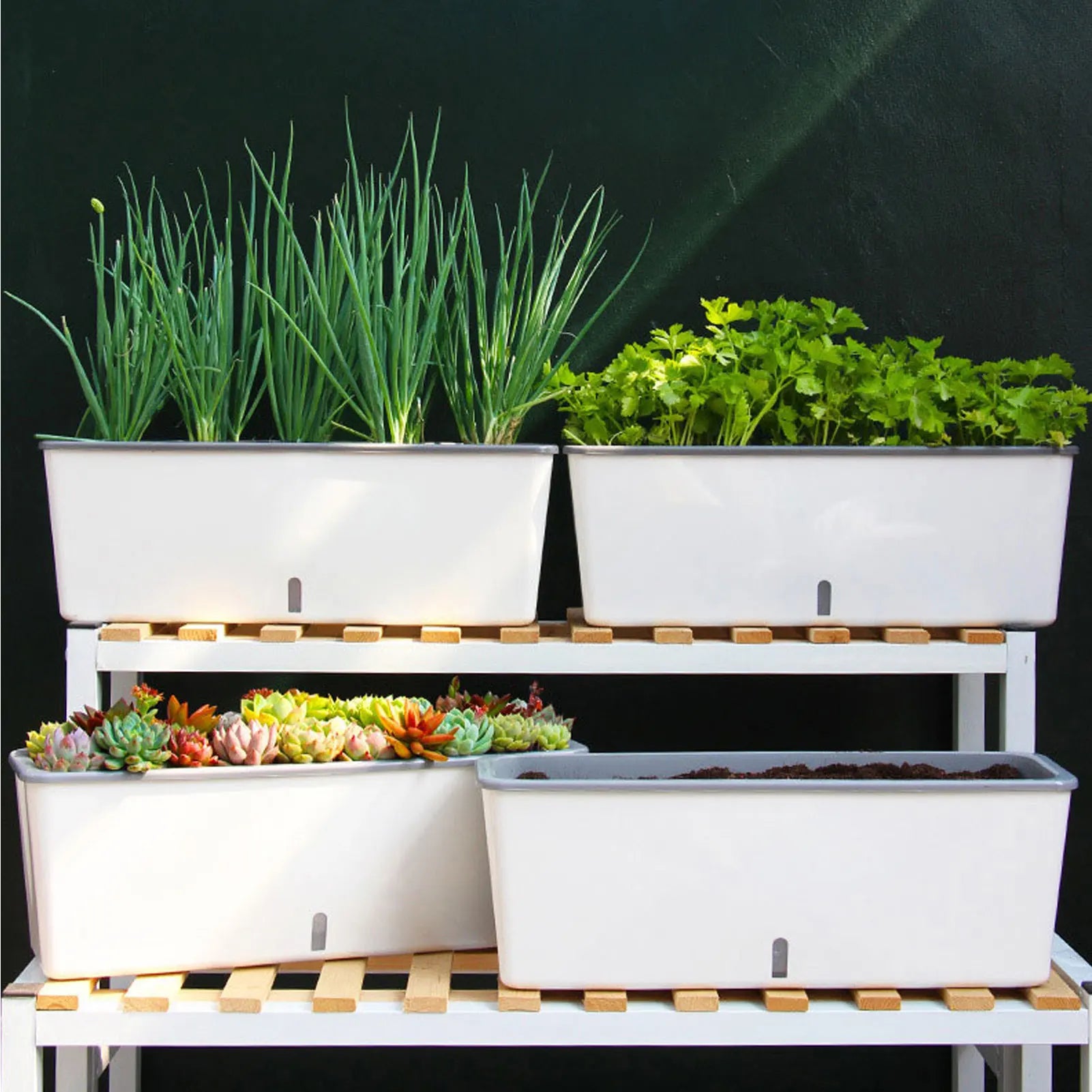 Self-Watering Planter Pots