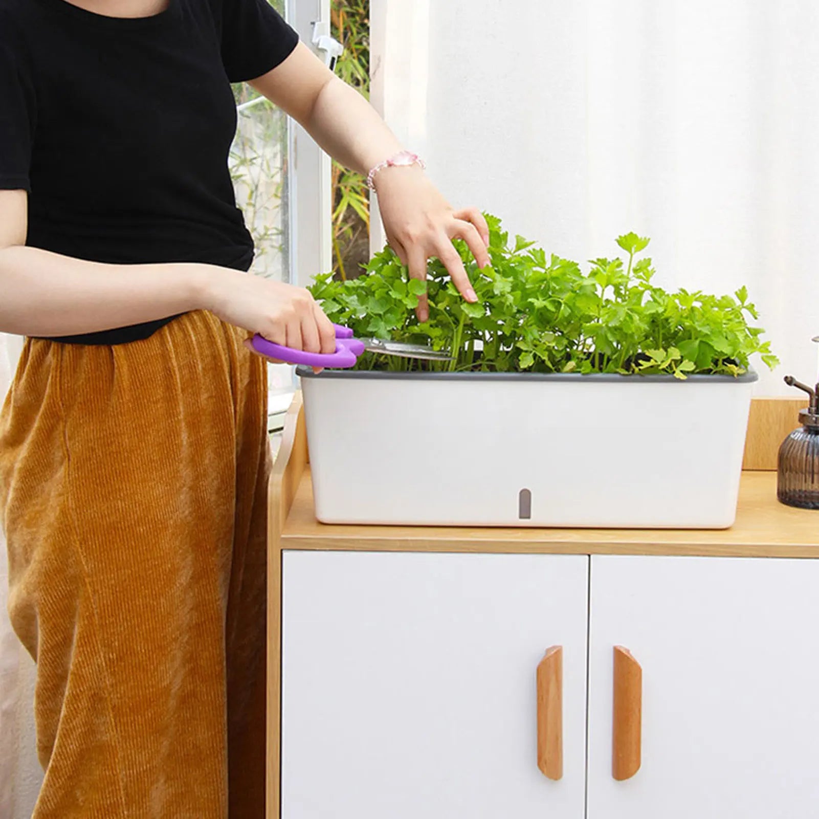 Self-Watering Planter Pots