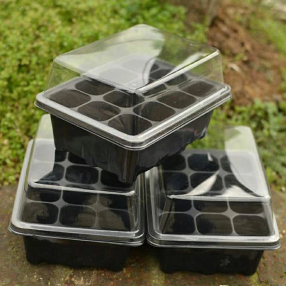 Bonsai Seedling Tray