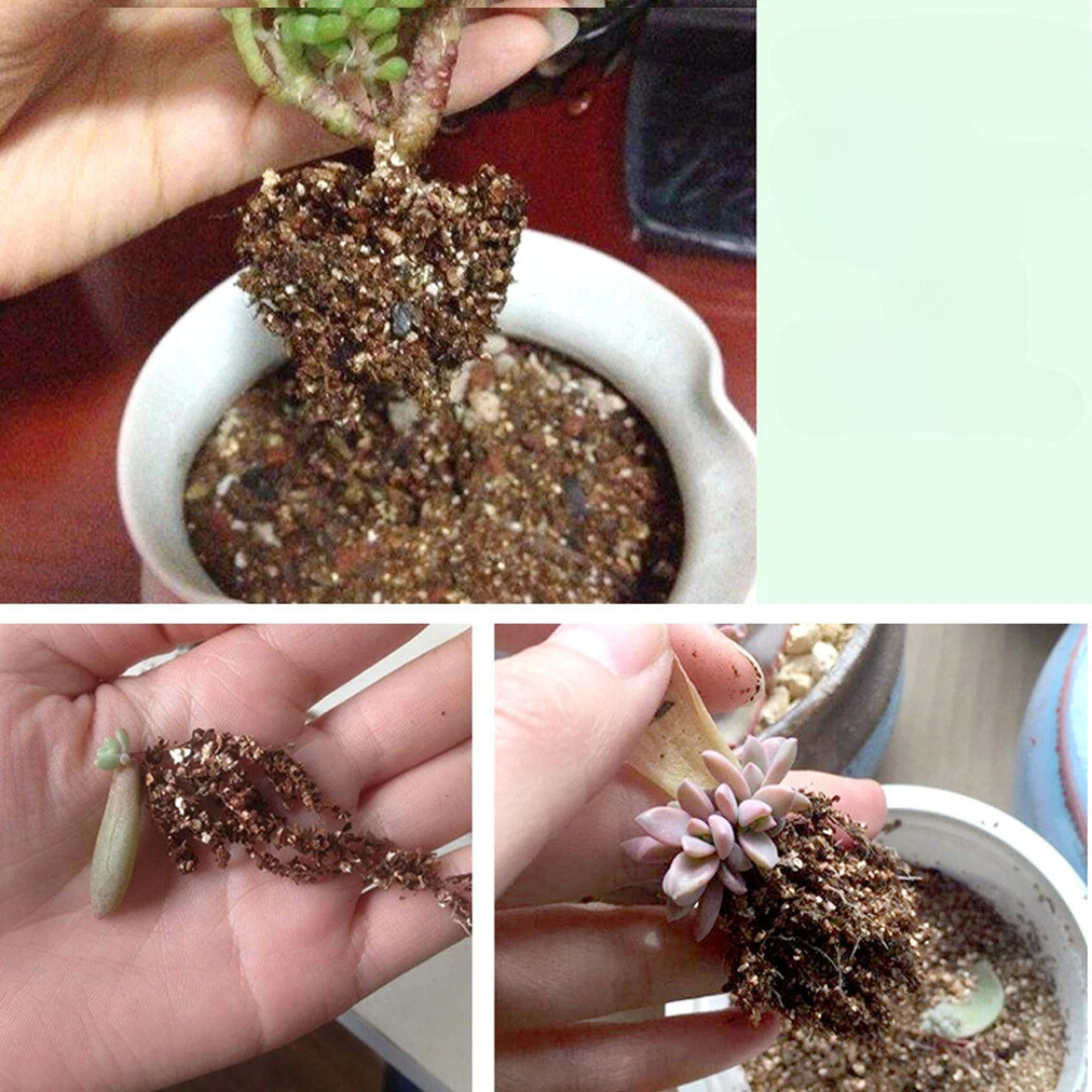 Bonsai Vermiculite Soil